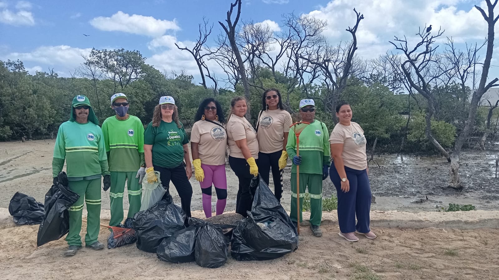 Registro 4 da limpeza