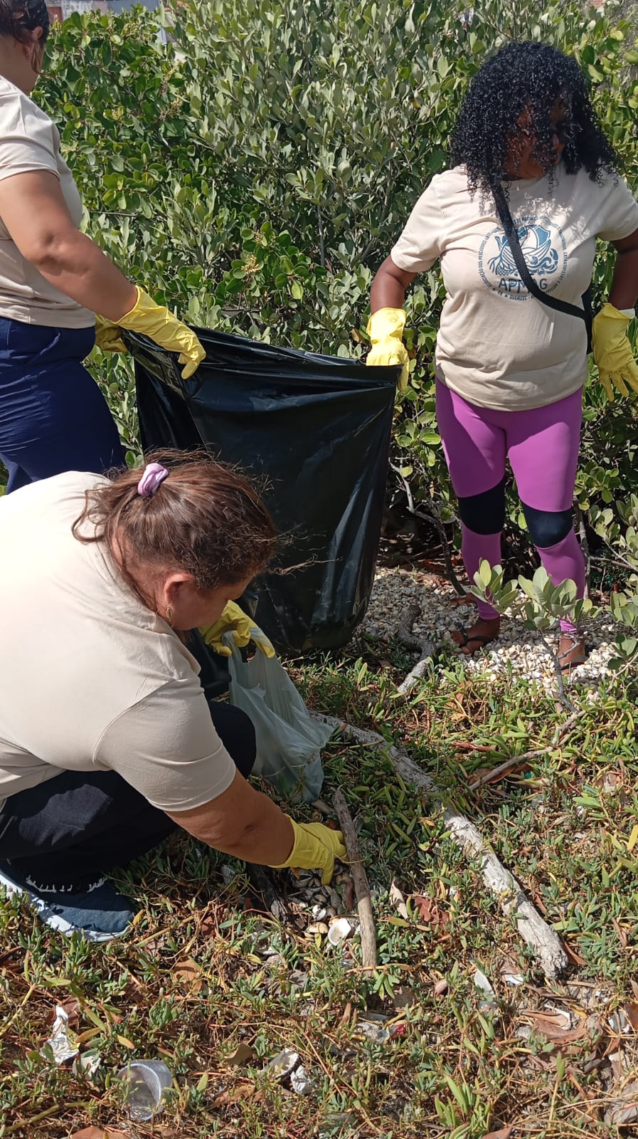 Registro 9 da limpeza