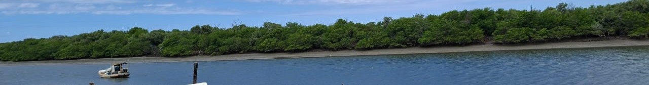 Vista panorâmica do manguezal e estuário em frente à sede da APMAG